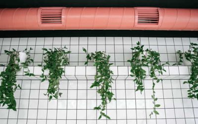 Passive Ventilation